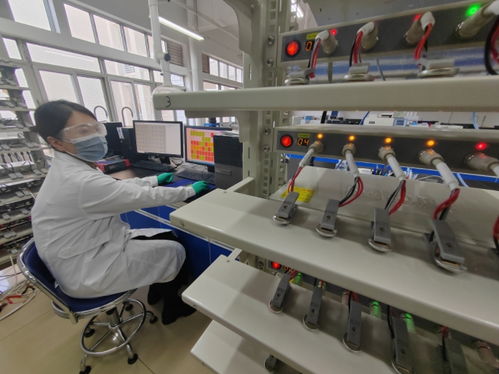 中國首創(chuàng)！洛陽牡丹殼變廢為寶，開啟鈉電池負極材料新紀元